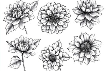 Poster - Simple arrangement of black and white flowers on a white background