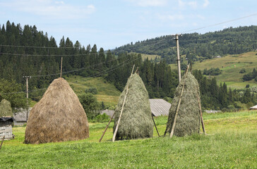 Wall Mural - Pile of dried hay on field in mountains