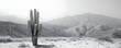 © Neural9 Project - Black and White Desert Landscape with a Tall Cactus Standing Proudly in the Foreground