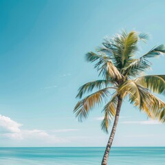 Poster - A palm tree stands tall on a beach next to the ocean