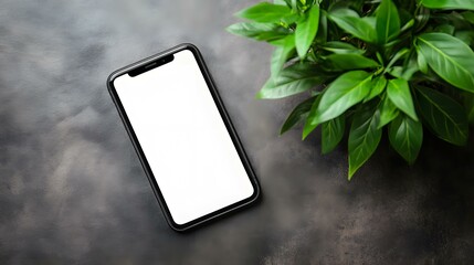 Black Smartphone with Blank Screen and Green Plant on Grey Background