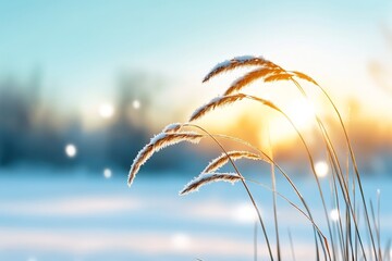 Sticker - A tranquil winter scene featuring frosted grass swaying gently in the golden light of a setting sun, symbolizing peace, beauty, nature, resilience, and hope.