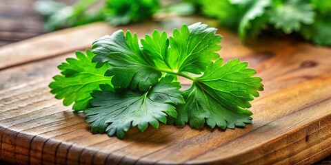 Fresh coriander leaf on a wooden cutting board, showcasing vibrant green color and texture details