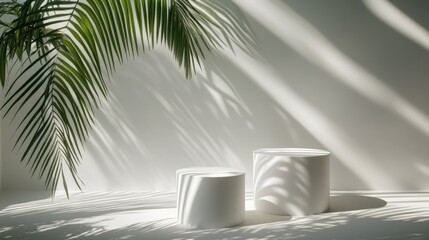 Poster - Bright white podiums illuminated by sunlight featuring the shadow of a palm leaf in a minimalist setting Ideal display space for beauty items accessories footwear bags and timepieces