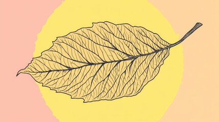 Poster - Close up of a yellow veined dry leaf background offering design space for text suitable for wallpaper