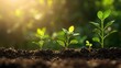 © Thongchanh - A close-up of young plants growing in soil, symbolizing growth, renewal, and the nurturing power of nature illuminated by sunlight.