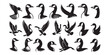 © kardelen - Goose vector silhouette icon Set
