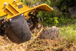 © Valmedia - Stump grinder machine is grinding a tree stump in a garden, creating wood chips. Selective focus