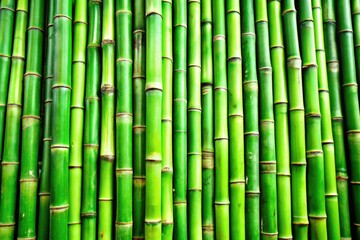 Poster - Green bamboo sticks arranged in a row creating a natural wallpaper effect. Generative AI