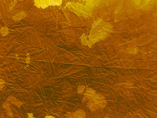 Wall Mural - Multi 60s Backgrounds. Sepia Reflection Art.