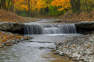 Wall Mural - A stream with a waterfall flowing through it