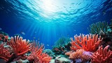underwater ocean scene with coral and blue sea with copy space 