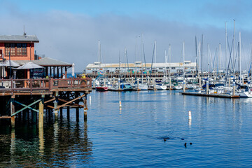 Wall Mural - Monterey bay, California with sailboats