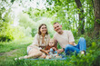 © DSMT - A family of a mother and father with a child in their arms, sitting in the park in the summer. The concept of a happy family with a small child, care and love. Happy family with a child.