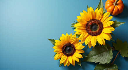 Wall Mural - sunflowers on a wooden background