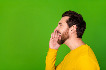 Sticker - Side profile photo of cheerful man with beard dressed yellow shirt look at promo empty space isolated on vibrant green color background