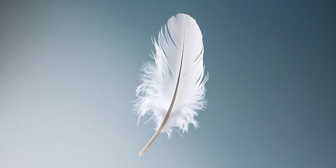 A depiction of a single white feather gracefully falling against a blue background, highlighting the softness of floating feathers (15)