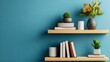 © khonkangrua - Modern Shelves with Plants and Books on Blue Wall