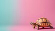 © thekob5123 - Playful Tortoise with Smooth Shell on Colorful Background