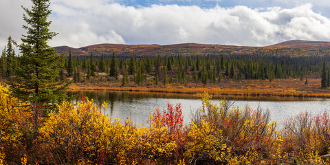 Wall Mural - scenic tundra landscape with pond in the middle during autumn time.