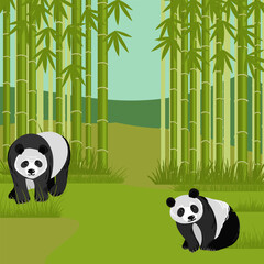 Wall Mural - vector drawing landscape with bamboo green forest and panda bears, cartoon animals, hand drawn illustration