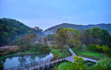 Wall Mural - Aerial view of foggy autumn foliage in the morning at Incheon Grand Park near Incheon, Korea