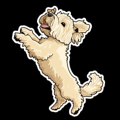 Sticker - Soft Coated Wheaten Terrier Dog With A Fluffy Tail Sitting in a Field