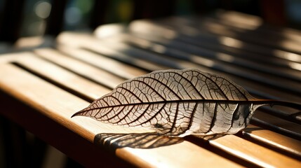 Wall Mural - serene leaf shadows