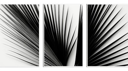 Wall Mural - black palm leaves illustration