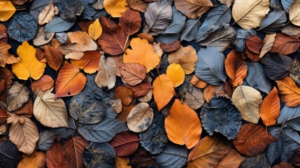 Wall Mural - texture pattern leaves