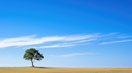 Wall Mural - clear simple tree silhouette