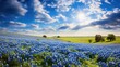 © PikePicture - spring blue bonnets texas