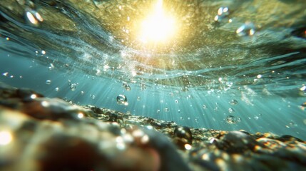 Poster - Sunlight streams through clear water, illuminating bubbles and creating a serene underwater atmosphere typical of midday