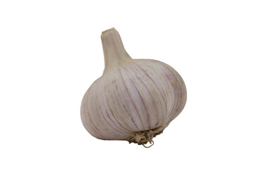 Garlic whole. A well-known spice with its characteristic aroma. Use in the kitchen. Rich in vitamins. The body's defenses and digestion.