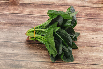 Ripe green spinach leaves heap