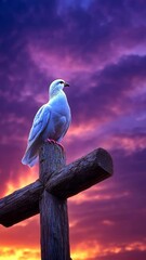 Poster - White dove perched on a wooden cross against a vibrant sunset sky, symbol of peace and spirituality