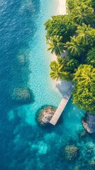 Wall Mural - Aerial view of a serene tropical beach with vibrant turquoise water and lush greenery on the shoreline at midday