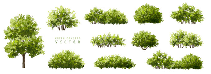 Wall Mural - vector watercolor green tree or forest side view isolated on white background for landscape and arch