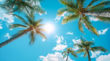 a low angle view of palm trees swaying in the wind against a bright blue sky with white clouds and t
