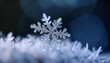 © hardvicore - Macro shot of snowflake, ice crystal. Winter season.