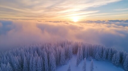 Poster - Aerial Perspective of Clouds Above a Forest at Sunset Stunning Winter Scenery