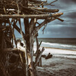 © Wojciech Wrzesień - SEA COAST - A hut made of dry sticks and branches on a sunny sea beach