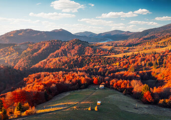 Wall Mural - Spectacular autumn slopes from a bird's eye view on a sunny day. Carpathian mountains, Ukraine, Europe.