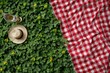 © Your Choice - A summer picnic setup with a straw hat and drinks on a red checkered blanket amid green clover and yellow flowers