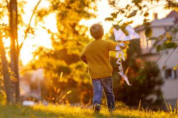 Canvas Print - Beautiful blond child, boy, playing with kite in a field