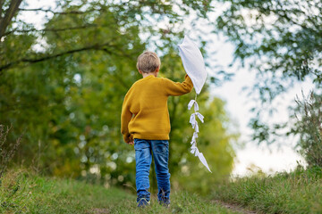 Wall Mural - Beautiful blond child, boy, playing with kite in a field