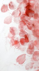 Poster - Delicate red feathers on white background create a romantic and elegant design, perfect for weddings, cards, or wallpapers. Capturing love and passion, it adds beauty to any project