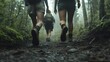 © Kostas - A close-up of people hiking on an adventurous trail, one with a backpack and the other wearing shorts, both running quickly in their shoes, surrounded by a dense forest and a misty atmosphere