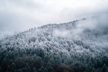 Wall Mural - Snow-covered mountains and trees in a dreamy winter landscape