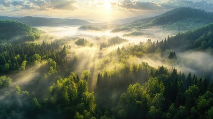 Aufkleber - Aerial view of a misty forest with sun rays illuminating the landscape showcasing a mountain valley enveloped in low clouds and green trees